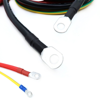 Arn&eacute;s de cables personalizado con conjunto de cables con terminal O y terminal de anillo
