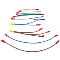 Fabricante de f&aacute;brica 250 110 187 conjuntos de cables de conector de terminal de engarzado de pala hembra aislados