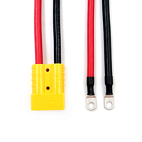 Conjunto de cables de almacenamiento de energ&iacute;a de luz solar