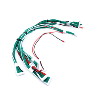 Tailored silicone wire harness para sa pag -iimbak ng baterya sa sektor ng industriya